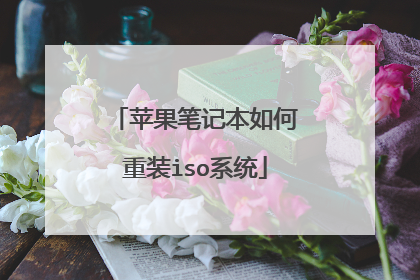 苹果笔记本如何重装iso系统
