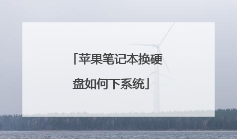 苹果笔记本换硬盘如何下系统
