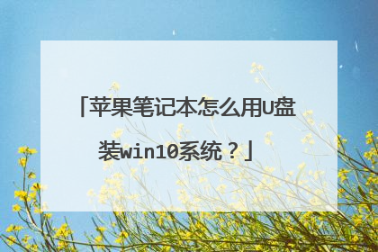 苹果笔记本怎么用U盘装win10系统?