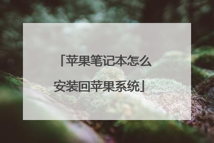 苹果笔记本怎么安装回苹果系统