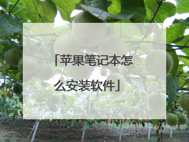 苹果笔记本怎么安装软件