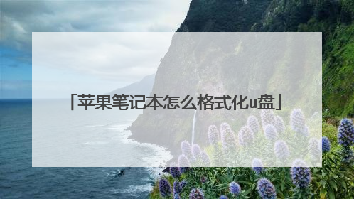 苹果笔记本怎么格式化u盘