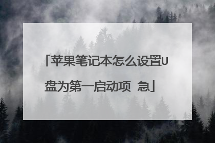 苹果笔记本怎么设置U盘为第一启动项 急
