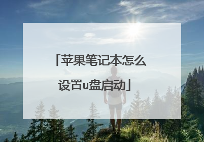 苹果笔记本怎么设置u盘启动