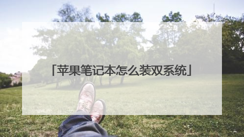 苹果笔记本怎么装双系统