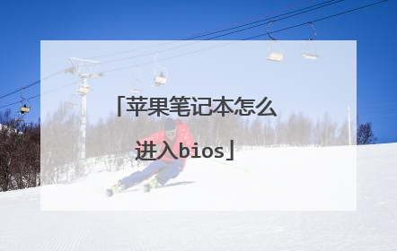 苹果笔记本怎么进入bios