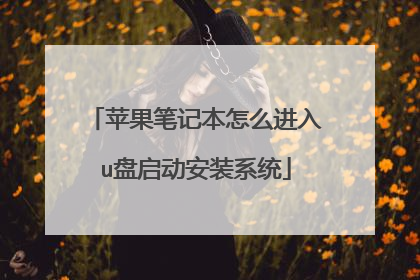 苹果笔记本怎么进入u盘启动安装系统