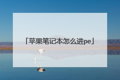 苹果笔记本怎么进pe