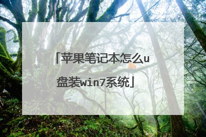 苹果笔记本怎么u盘装win7系统