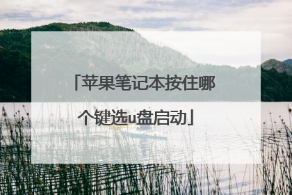 苹果笔记本按住哪个键选u盘启动