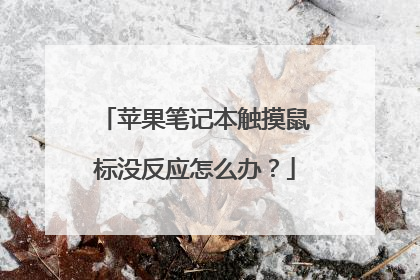 苹果笔记本触摸鼠标没反应怎么办？