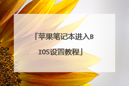 苹果笔记本进入BIOS设置教程