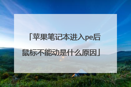 苹果笔记本进入pe后鼠标不能动是什么原因