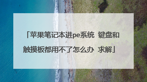 苹果笔记本进pe系统 键盘和触摸板都用不了怎么办 求解