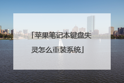 苹果笔记本键盘失灵怎么重装系统