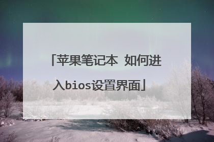 苹果笔记本 如何进入bios设置界面