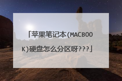 苹果笔记本(MACBOOK)硬盘怎么分区呀???