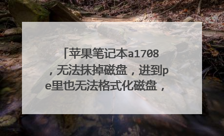 苹果笔记本a1708，无法抹掉磁盘，进到pe里也无法格式化磁盘，无法重装苹果系统？