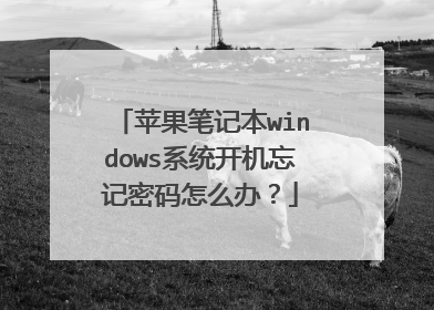 苹果笔记本windows系统开机忘记密码怎么办？
