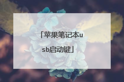 苹果笔记本usb启动键