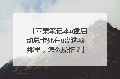 苹果笔记本u盘启动总卡死在u盘选项那里，怎么操作？