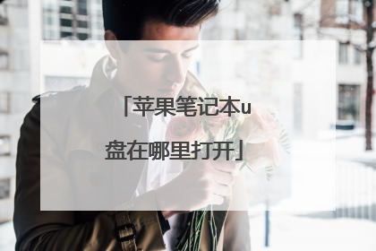 苹果笔记本u盘在哪里打开