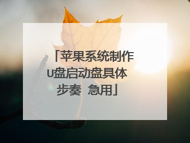 苹果系统制作U盘启动盘具体步奏 急用