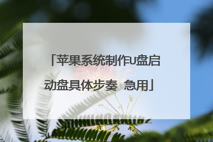 苹果系统制作U盘启动盘具体步奏 急用