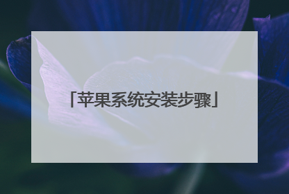 苹果系统安装步骤