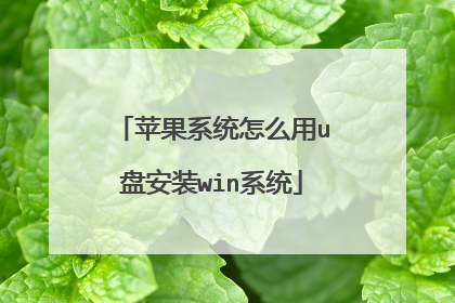 苹果系统怎么用u盘安装win系统