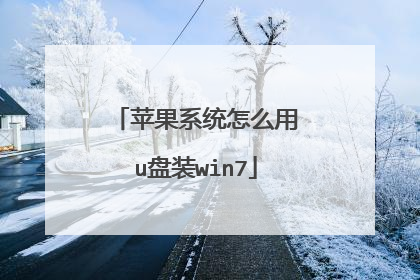 苹果系统怎么用u盘装win7