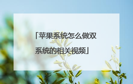 苹果系统怎么做双系统的相关视频