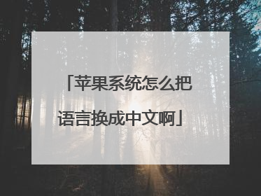 苹果系统怎么把语言换成中文啊