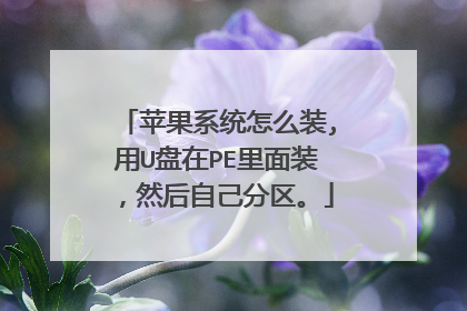 苹果系统怎么装,用U盘在PE里面装，然后自己分区。