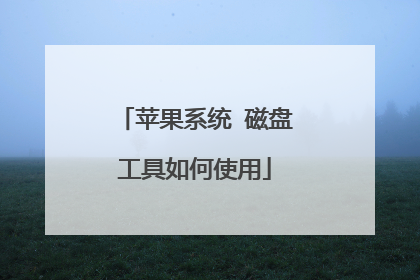 苹果系统 磁盘工具如何使用