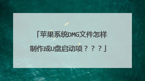 苹果系统DMG文件怎样制作成U盘启动项???