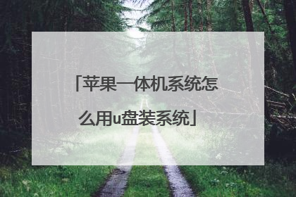 苹果一体机系统怎么用u盘装系统