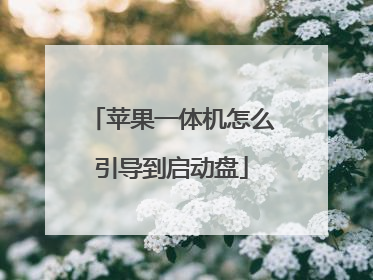 苹果一体机怎么引导到启动盘