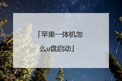 苹果一体机怎么u盘启动