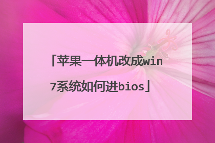 苹果一体机改成win7系统如何进bios