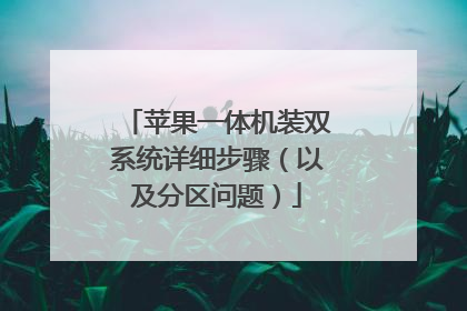 苹果一体机装双系统详细步骤(以及分区问题)