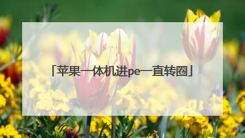 苹果一体机进pe一直转圈