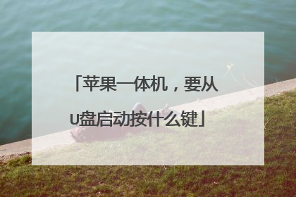 苹果一体机,要从U盘启动按什么键