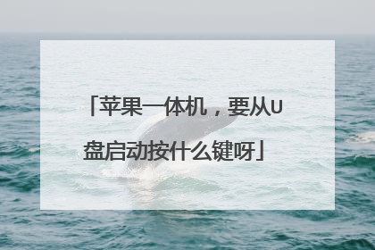 苹果一体机，要从U盘启动按什么键呀