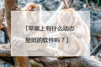 苹果上有什么动态壁纸的软件吗?