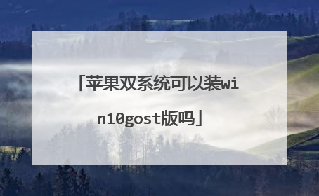 苹果双系统可以装win10gost版吗