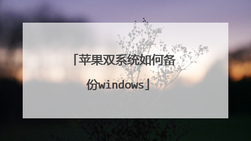 苹果双系统如何备份windows