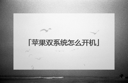 苹果双系统怎么开机
