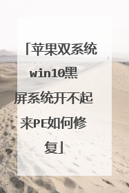 苹果双系统win10黑屏系统开不起来PE如何修复