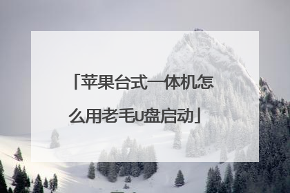 苹果台式一体机怎么用老毛U盘启动